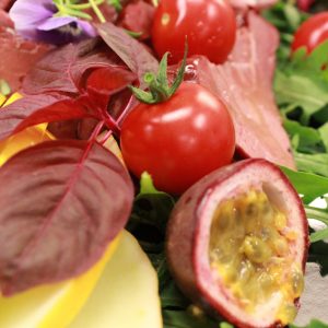 Metropol Sallad